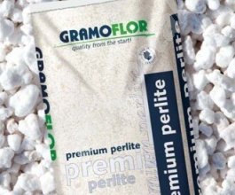 Premium perlit Gramoflor, 1L