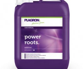 Plagron Power Roots, 5L